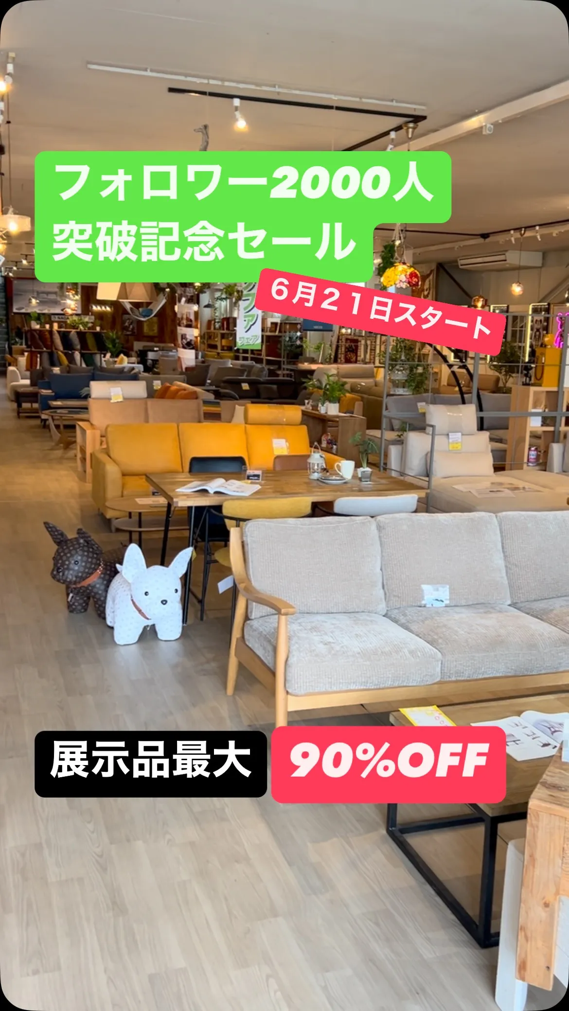 ⁡⁡セール告知